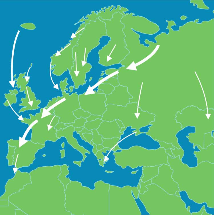 Fundación_Carlos_Slim-La migración de las aves