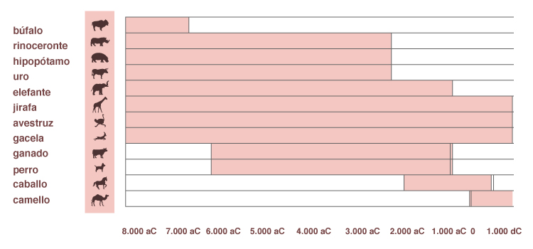 Fundación_Carlos_Slim-El lago Chad