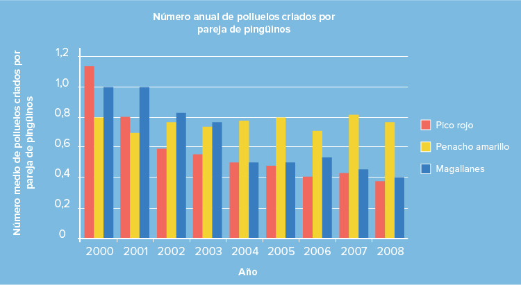 Fundación_Carlos_Slim-Pingüinos