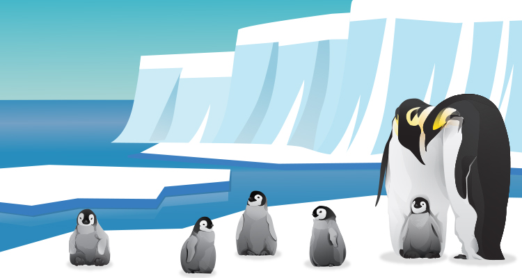 Fundación_Carlos_Slim-Pingüinos