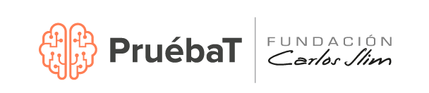 Fundación Carlos Slim