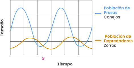 Estimulo 1